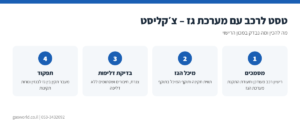 אינפוגרפיקה: צ׳קליסט טסט לרכב עם מערכת גז