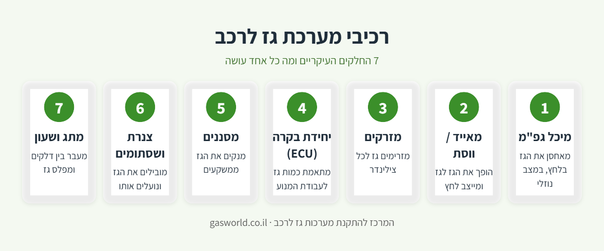 אינפוגרפיקה: 7 רכיבי מערכת גז לרכב ותפקיד כל רכיב